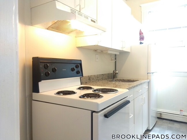 208 Winthrop Rd in Brookline, MA - Building Photo - Building Photo
