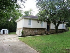 2020 Mimosa Ln in Birmingham, AL - Building Photo