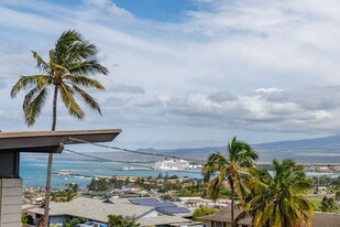 471 Liholiho St in Wailuku, HI - Building Photo