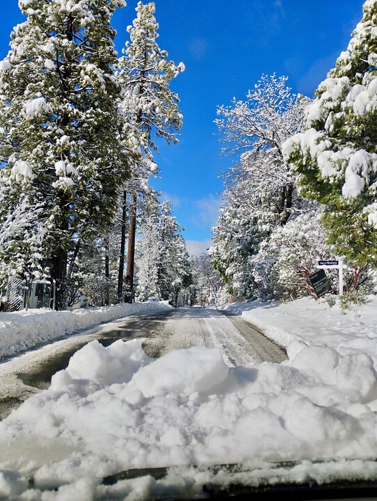 52901 Pine Cove Rd in Idyllwild, CA - Building Photo