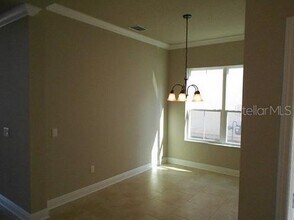 15604 Starling Crossing Dr in Fish Hawk, FL - Foto de edificio - Building Photo