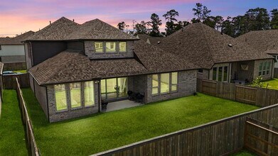 316 Coldwater Creek Ct in Conroe, TX - Building Photo - Building Photo