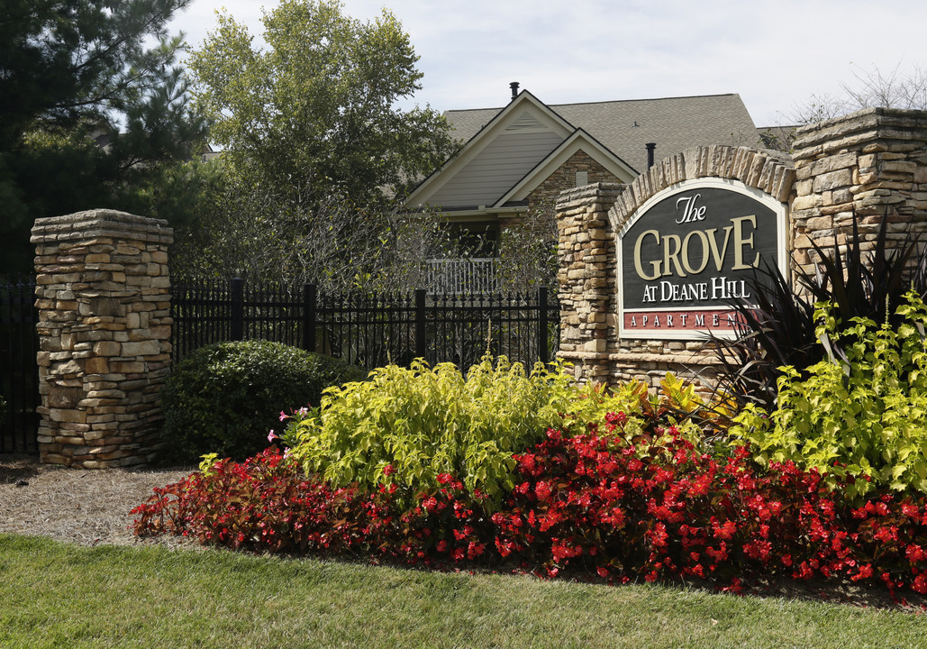 The Grove at Deane Hill in Knoxville, TN - Building Photo