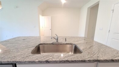 32173 Turtle Grace Lp in Wesley Chapel, FL - Building Photo - Building Photo