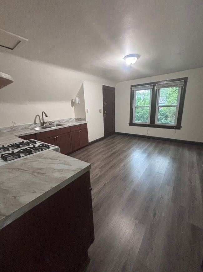 1242 E Mifflin St in Madison, WI - Building Photo - Building Photo