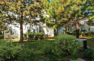5737 Corbon Crest Ln in Raleigh, NC - Building Photo