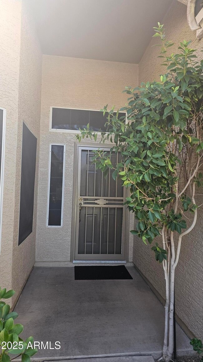 4273 E Terrace Ave in Gilbert, AZ - Building Photo - Building Photo