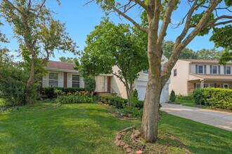 1356 Larchmont Dr in Buffalo Grove, IL - Building Photo - Building Photo