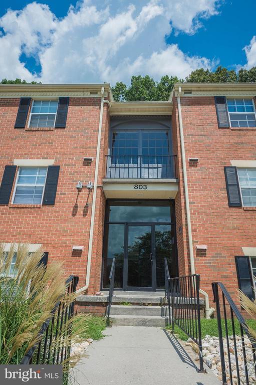 803 College Ln in Salisbury, MD - Building Photo - Building Photo