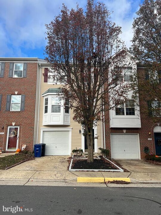 255 Golden Larch Terrace NE in Leesburg, VA - Building Photo