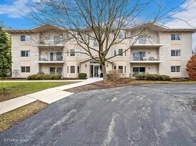 943 Elderberry Cir, Unit 211 Elderberry cir in Naperville, IL - Building Photo