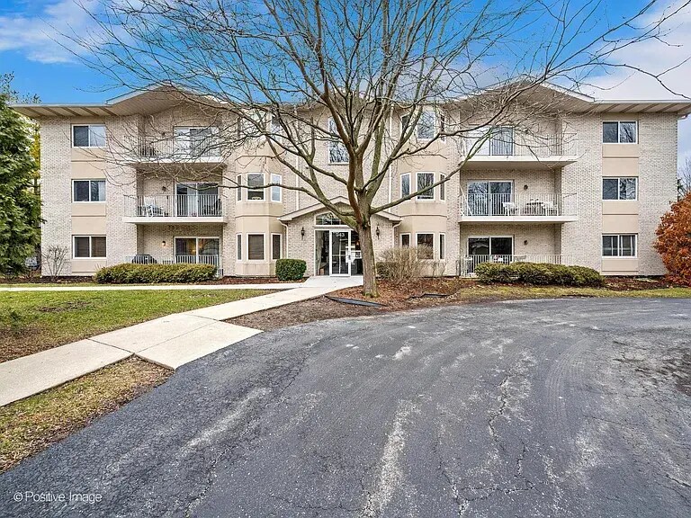 943 Elderberry Cir, Unit 211 Elderberry cir in Naperville, IL - Building Photo