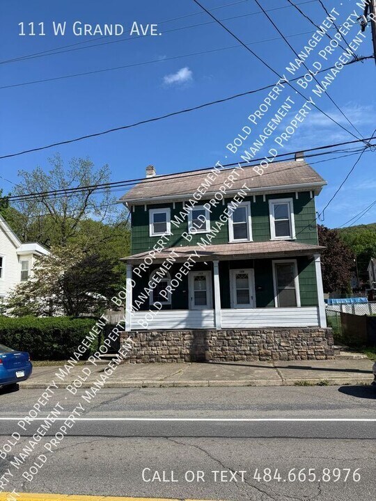 111 W Grand Ave in Tower City, PA - Building Photo