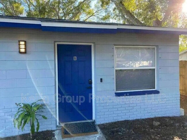 1007 Hawkins St in Clearwater, FL - Foto de edificio - Building Photo