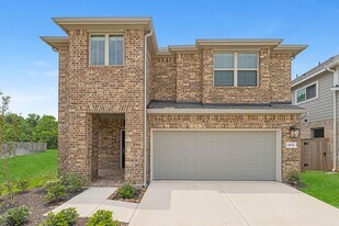 21611 Alberta Frst Cir in Magnolia, TX - Building Photo