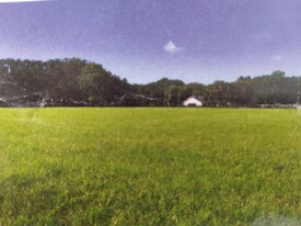 8035 NW 120th St in Reddick, FL - Building Photo