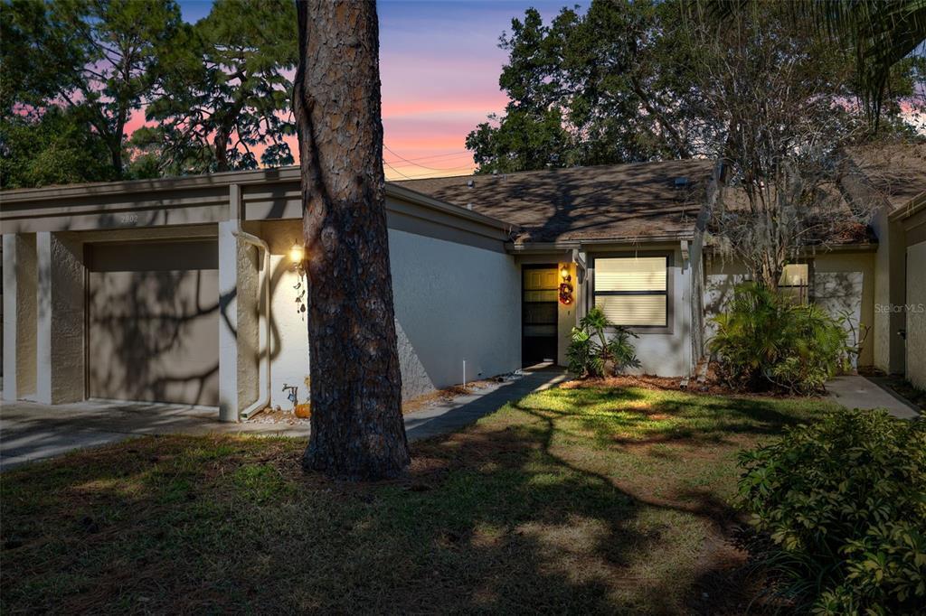 2902 Oak Cir in Tarpon Springs, FL - Building Photo