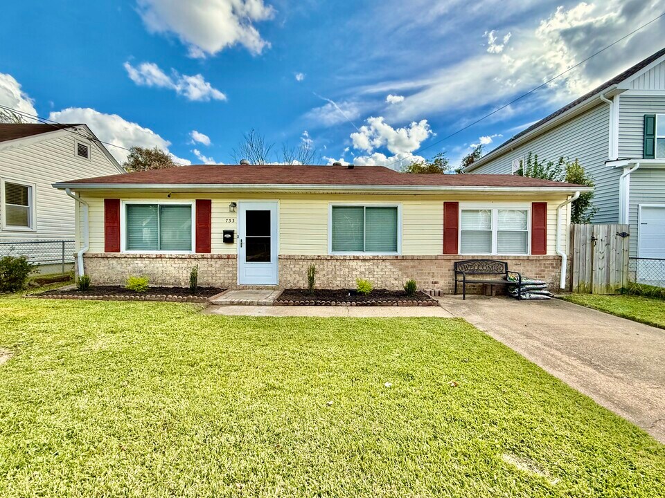 733 Mayfield Ave in Norfolk, VA - Building Photo