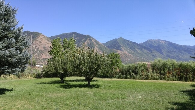 521 E 8800 S in Spanish Fork, UT - Building Photo - Building Photo