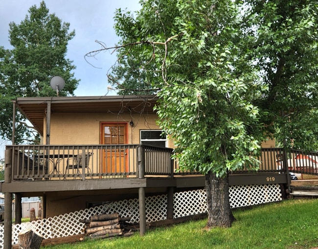 919 W Lorraine Ave in Woodland Park, CO - Building Photo - Building Photo