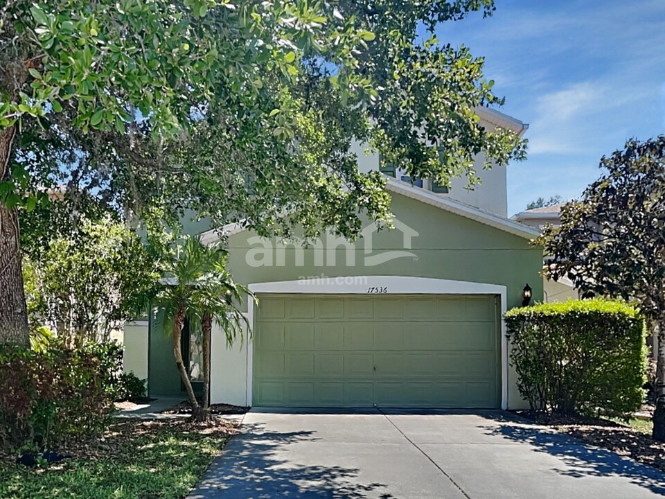 17536 Queensland St in Land O Lakes, FL - Building Photo