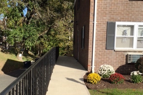 Maple Tree in Stamford, CT - Foto de edificio - Building Photo