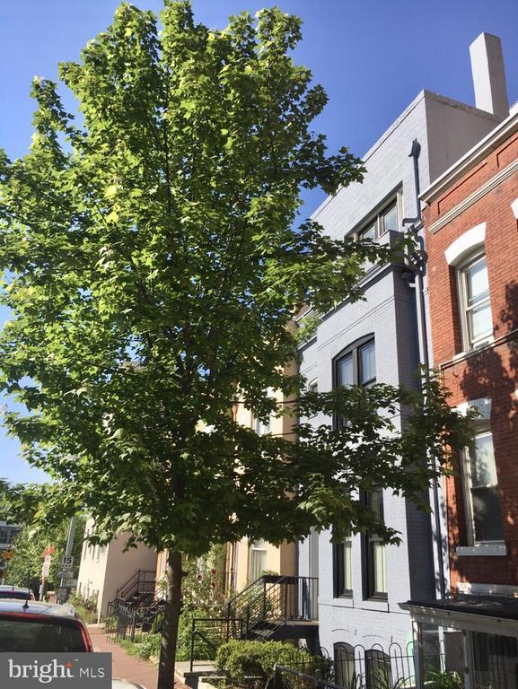 property at 2298 Champlain St NW