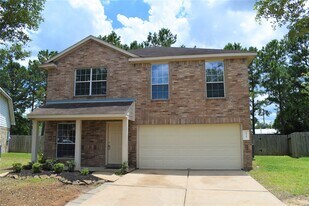 19207 Cedarsham Ln in Katy, TX - Building Photo