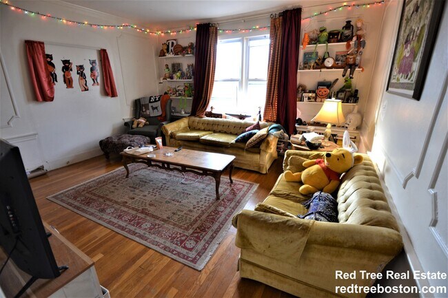 58 Bellvista Rd, Unit 2 in Boston, MA - Building Photo - Building Photo