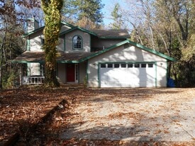 4896 Chateau Way in Forest Ranch, CA - Building Photo