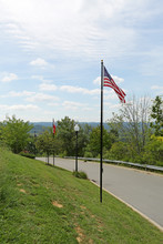 Overlook Terraces in Louisville, KY - Building Photo - Building Photo