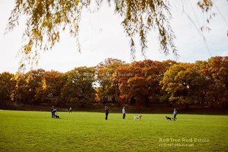 312 Tappan St, Unit 5 in Brookline, MA - Building Photo - Building Photo