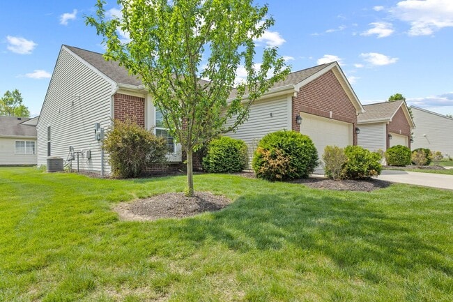 556 Dylan Dr in Avon, IN - Foto de edificio - Building Photo