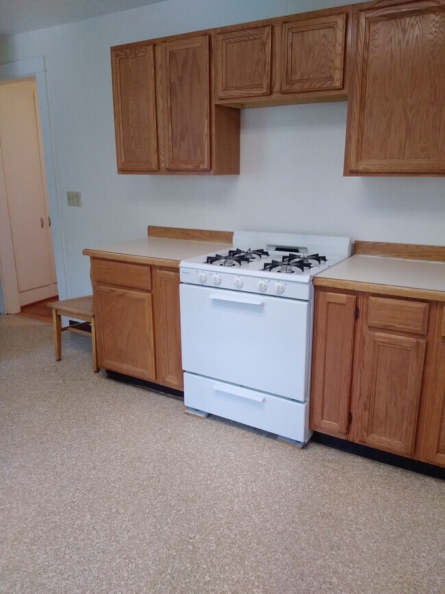 931 E State St in Ithaca, NY - Building Photo - Building Photo