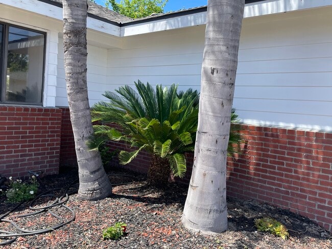 1500 Van Dorsten Ave in Corcoran, CA - Building Photo - Building Photo