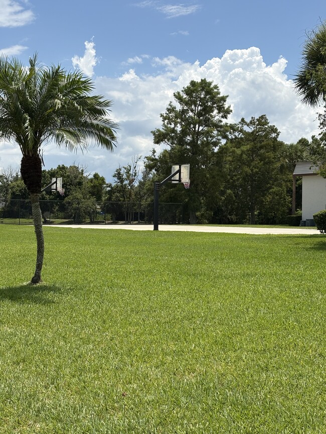 property at 67 Windtree Ln