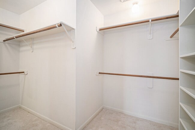 5807 Carta Valley Ln