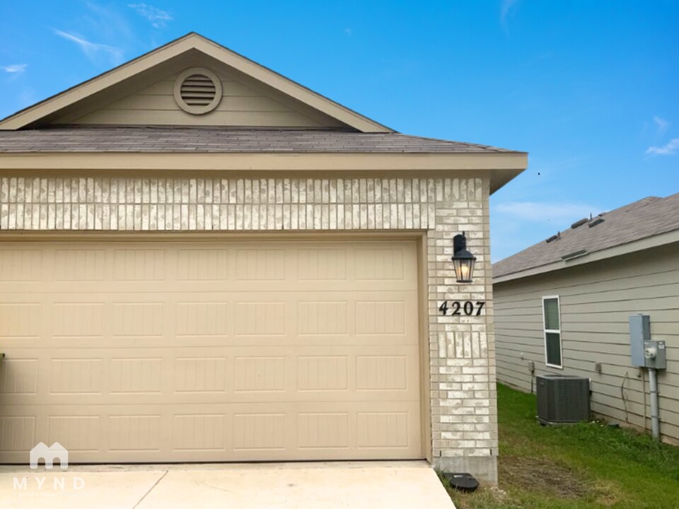 4207 Asher Alley in Saint Hedwig, TX - Building Photo