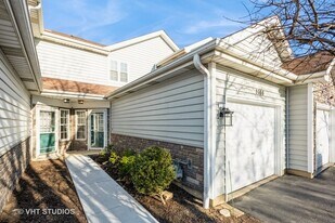 1146 Regency Dr in Schaumburg, IL - Building Photo