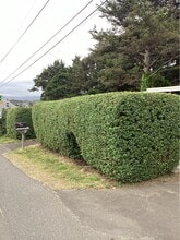 2320 NW Jetty Ave in Lincoln City, OR - Building Photo - Building Photo
