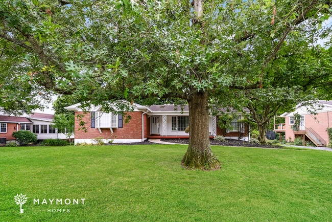 property at 1007 Pineknot Dr