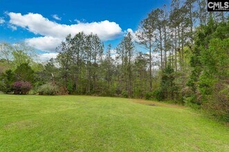 14 Hilton Glen Ct in Chapin, SC - Building Photo - Building Photo
