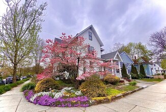 209 Walnut St in Newton, MA - Building Photo - Building Photo