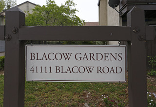 Blacow Gardens in Fremont, CA - Foto de edificio - Building Photo