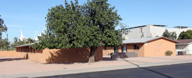 Carab Tree Apartments in Scottsdale, AZ - Building Photo - Building Photo