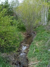 2560 Cortina Ln in Steamboat Springs, CO - Building Photo - Building Photo