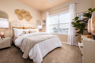 Clear Springs in New Braunfels, TX - Foto de edificio - Building Photo