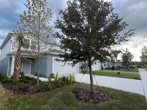 2055 Canopy Ter Blvd in DeLand, FL - Building Photo - Building Photo