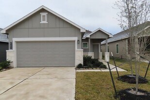 25443 Lobelia Blossom Ln in Magnolia, TX - Building Photo
