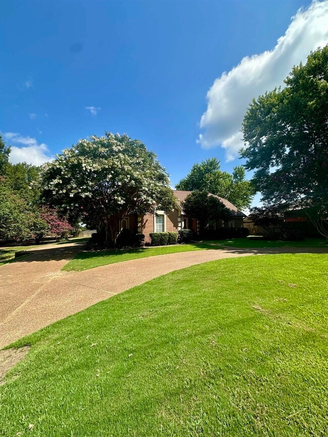 814 Byhalia Rd in Hernando, MS - Building Photo - Building Photo